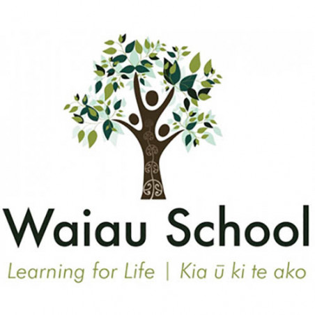 Waiau School