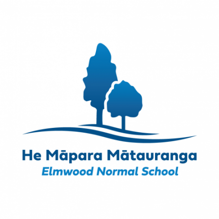 Elmwood Normal School (Ilam store)
