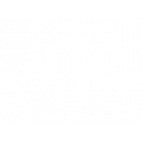 Paparoa Street School